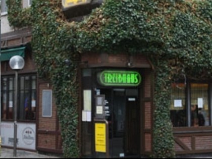 Foto: Treibhaus